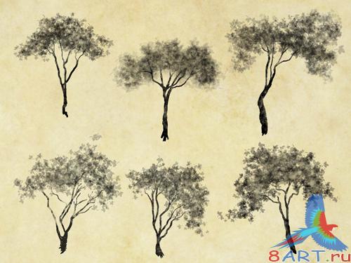 198 Cutout Trees (PSD)