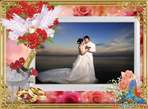 ����� ��������� "������ ����� ����"