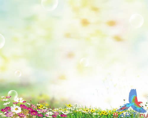 PSD - Blurred Flower Field Template