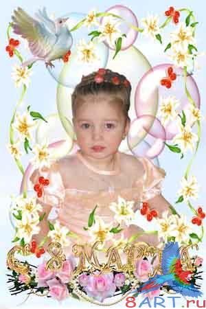 ����� ���� ���� 8 �����