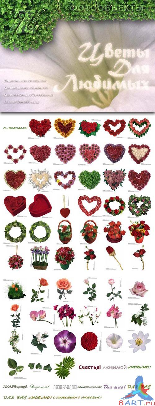 Izosoft - Flowers for Loved Ones (IZ018)