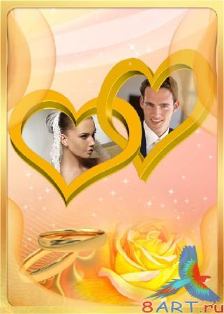 ����� ���� ���� - ��� ������