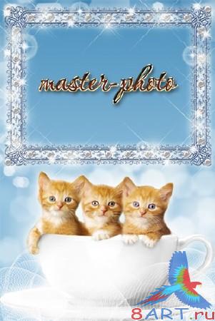 ����� � ��������� �������� ����� ��������