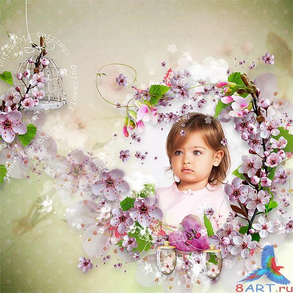 �����-����� Flowering cherries