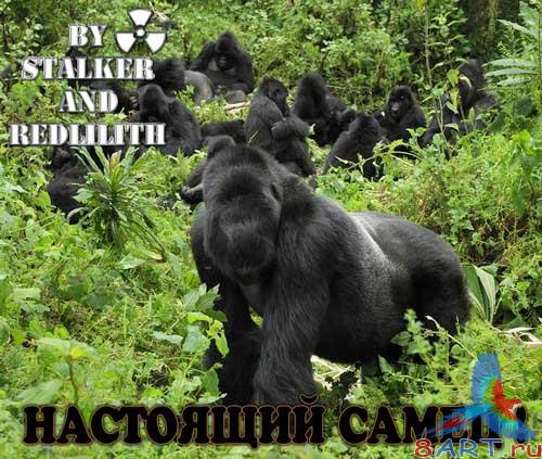 ������ � ����� ���� Photoshop - ����������� �����