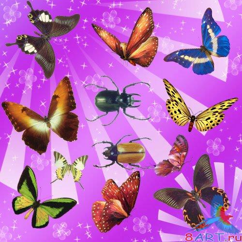 ������� - ������� 3 �����