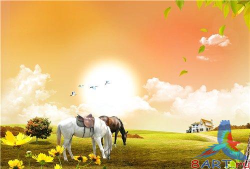 PSD - Horses on the field
