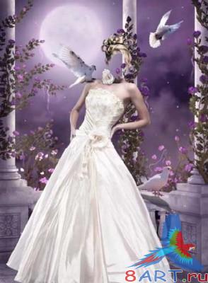 ������ � ����� ���� - ��������� ������