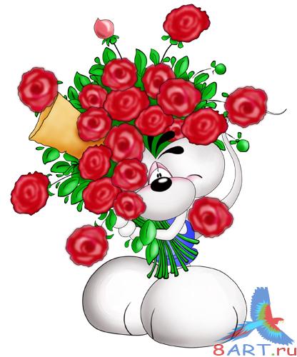 ��������� � ����� Diddl � ���� �� ������