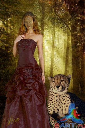 ������ �� ������� - � ������� ����