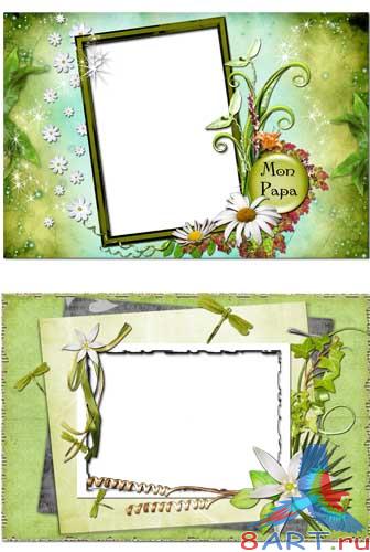 �����-��� ����