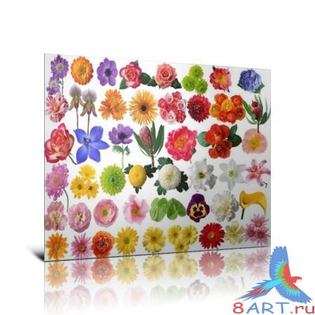 ��������� ������-PSD ����  ����� �����