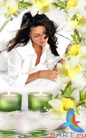 ������������� ����� � ����� �������� ������� �2