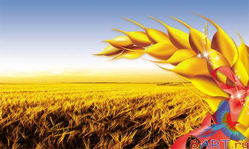 PSD - Gold Field Template