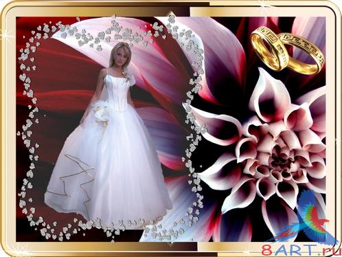 ����� � ����� ��������� ����������- ������� �� ������