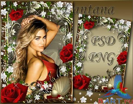 ����� �� ���� - ����� ���� �������