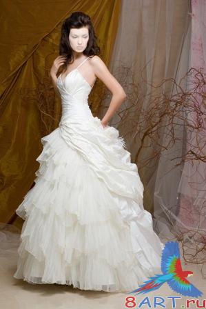 ������� �������� �� ����