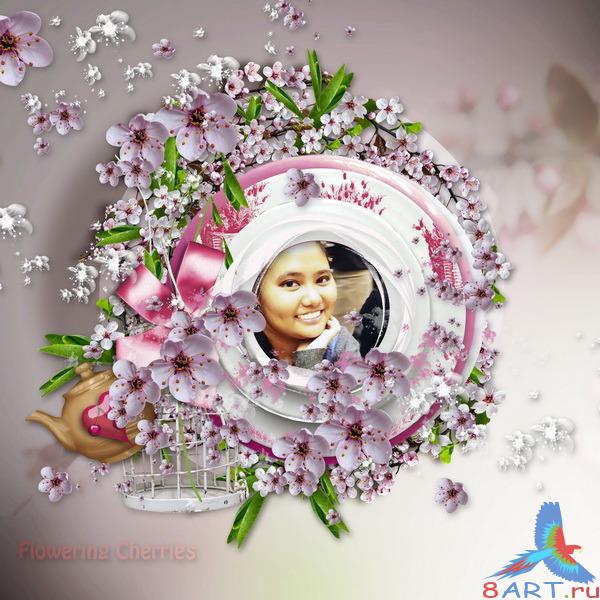 �����-����� Flowering cherries