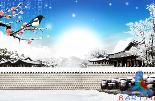 Sources - A clear winter day