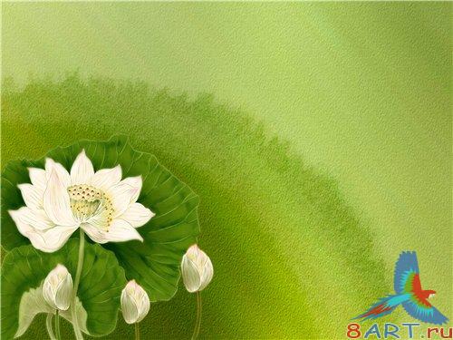 PSD - Green Backgrond with white flowers