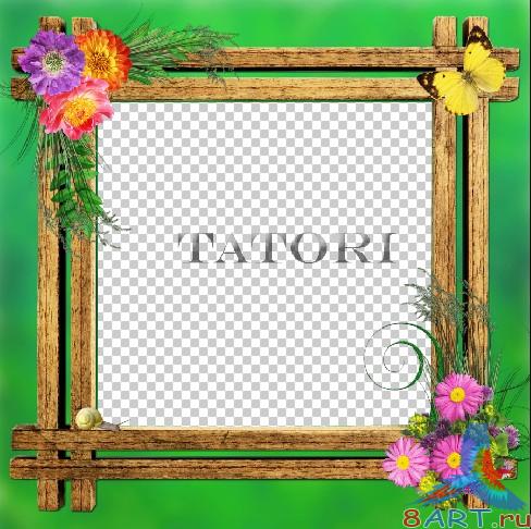 ����� ���� �������-������ �����