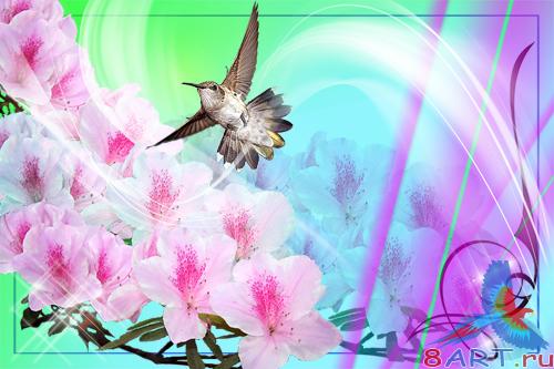 PSD �������� - �������