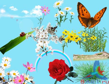 ����� � ����� ���� ����������� �������� �2