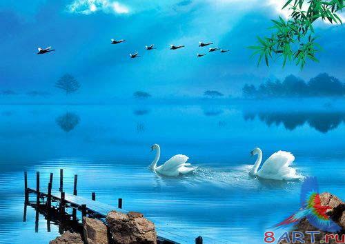 ����� ������ ��� �����