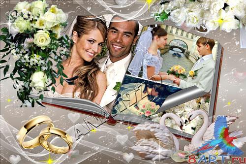 ��������� ����� ���� ������� - ��������