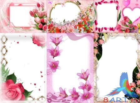 ����� � ����� ���������� - �������