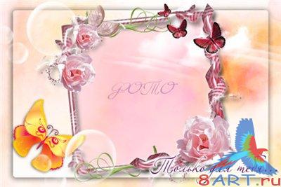 ����� �� ���� "������ � ��������� ����"