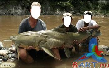 ������ � ����� ������� - ���� ����!!!