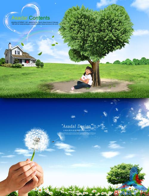 Sources - Spring Morning