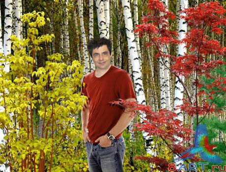 ������ PSD �Ҹ���� ������