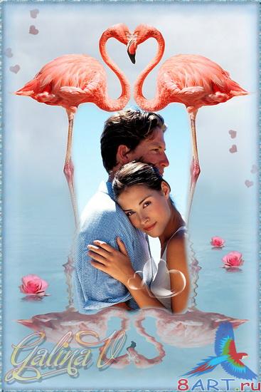 ������������ ����� �� ���� - ������� ��������