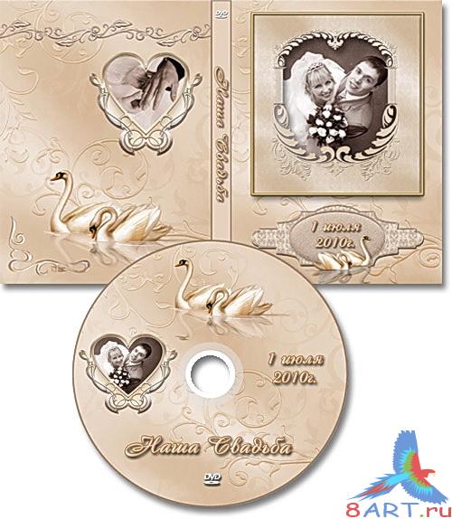 ��������� ������� � ������ ���� DVD ����� ������� � ����