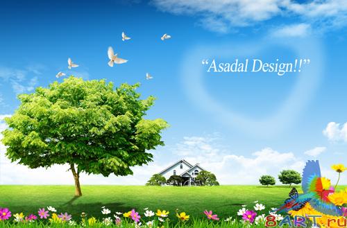 Sources - Pigeons flying in the sky