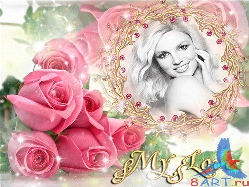 ����� ���� ������� � ����� ������� ���������