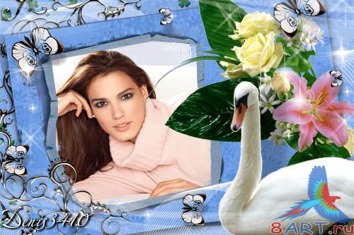 ������� � ������ ���� ���� - ������ ������