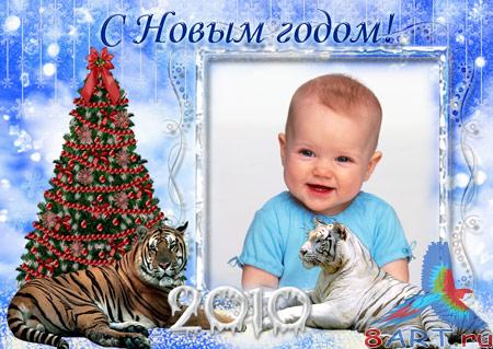 ����� - ����������14