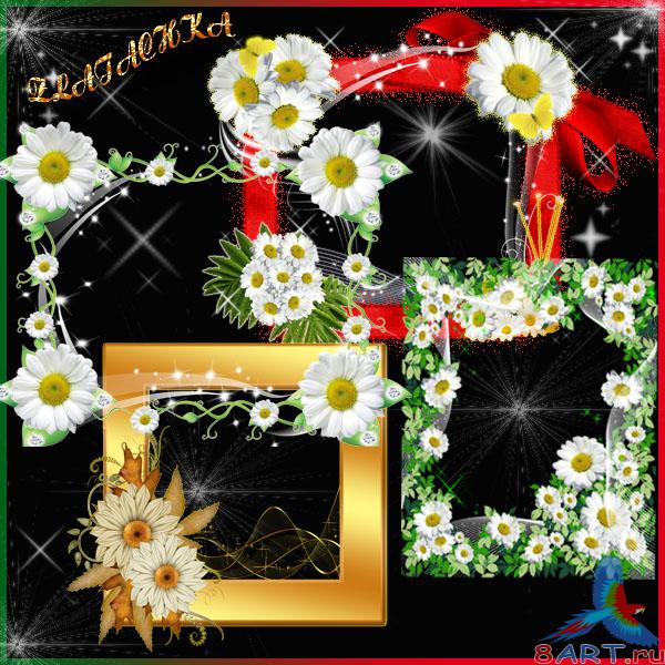 �����  � ��������� ���� ������� � ���������