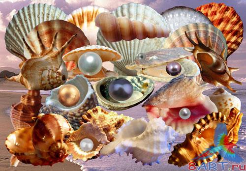 ������� ������ � ����������� ����