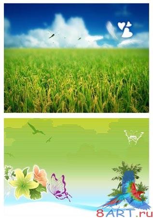 PSD ������� - ���� ���������!