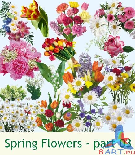 �������� ����� - ������� 3 (png, �������� ���� ����)