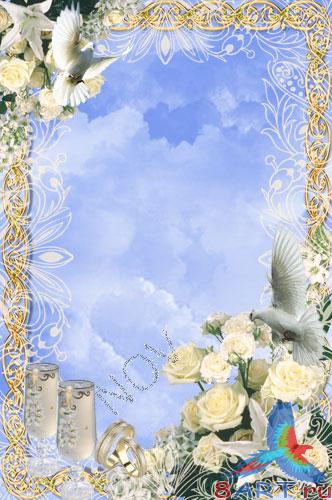 ��������� ������� ����� ���� -�������