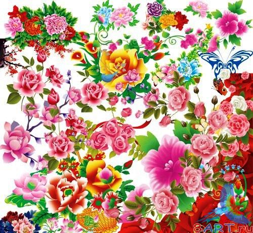 PSD - ��������� ���������