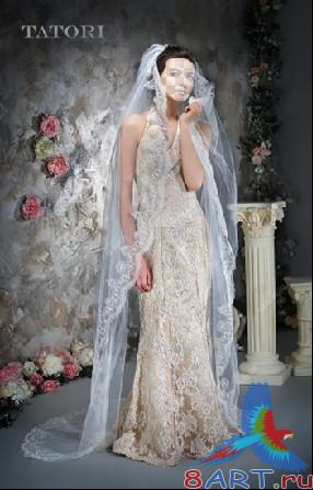 ������ � ������ ���� �������-��������� �����