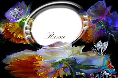 ��������� - �����