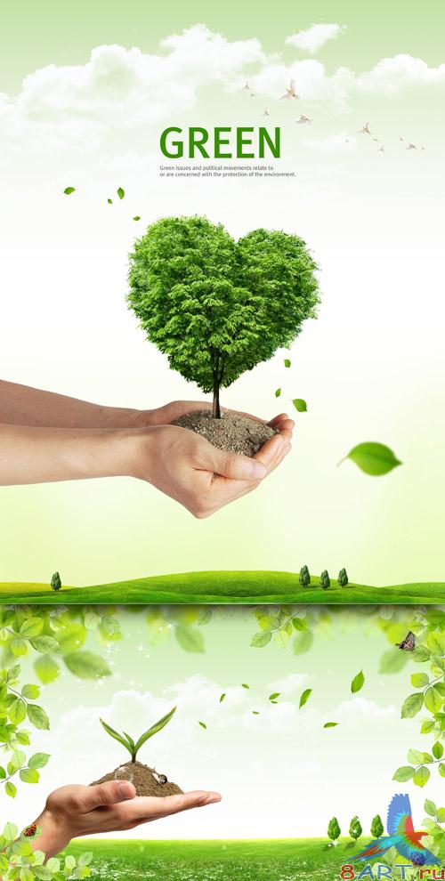 Sources - A small tree