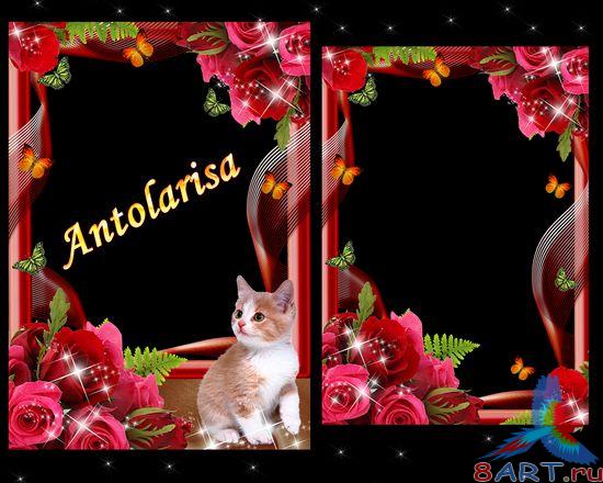 ����� ������� � ��������� ����